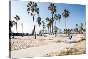 Venice Beach, Los Angeles-telesniuk-Stretched Canvas