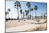 Venice Beach, Los Angeles-telesniuk-Mounted Photographic Print