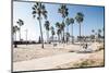 Venice Beach, Los Angeles-telesniuk-Mounted Photographic Print