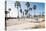 Venice Beach, Los Angeles-telesniuk-Stretched Canvas