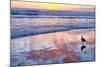 Venice Beach Sunset-Lori Hutchison-Mounted Photographic Print