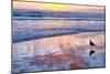 Venice Beach Sunset-Lori Hutchison-Mounted Photographic Print