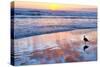 Venice Beach Sunset-Lori Hutchison-Stretched Canvas