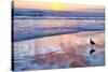 Venice Beach Sunset-Lori Hutchison-Stretched Canvas