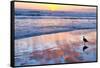 Venice Beach Sunset-Lori Hutchison-Framed Stretched Canvas