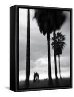 Venice Beach, Venice, Los Angeles, California, USA-Walter Bibikow-Framed Stretched Canvas