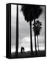 Venice Beach, Venice, Los Angeles, California, USA-Walter Bibikow-Framed Stretched Canvas