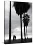 Venice Beach, Venice, Los Angeles, California, USA-Walter Bibikow-Stretched Canvas