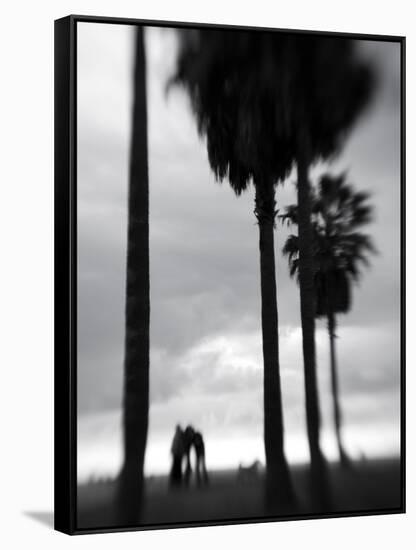 Venice Beach, Venice, Los Angeles, California, USA-Walter Bibikow-Framed Stretched Canvas