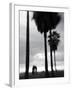 Venice Beach, Venice, Los Angeles, California, USA-Walter Bibikow-Framed Premium Photographic Print