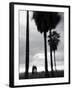 Venice Beach, Venice, Los Angeles, California, USA-Walter Bibikow-Framed Premium Photographic Print