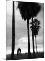 Venice Beach, Venice, Los Angeles, California, USA-Walter Bibikow-Mounted Premium Photographic Print
