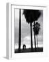 Venice Beach, Venice, Los Angeles, California, USA-Walter Bibikow-Framed Photographic Print