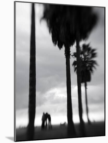 Venice Beach, Venice, Los Angeles, California, USA-Walter Bibikow-Mounted Photographic Print