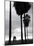Venice Beach, Venice, Los Angeles, California, USA-Walter Bibikow-Mounted Photographic Print