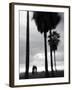 Venice Beach, Venice, Los Angeles, California, USA-Walter Bibikow-Framed Photographic Print