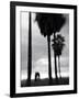 Venice Beach, Venice, Los Angeles, California, USA-Walter Bibikow-Framed Photographic Print