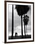 Venice Beach, Venice, Los Angeles, California, USA-Walter Bibikow-Framed Photographic Print