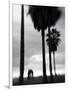 Venice Beach, Venice, Los Angeles, California, USA-Walter Bibikow-Framed Photographic Print