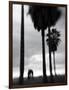Venice Beach, Venice, Los Angeles, California, USA-Walter Bibikow-Framed Photographic Print