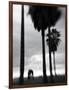 Venice Beach, Venice, Los Angeles, California, USA-Walter Bibikow-Framed Photographic Print