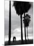 Venice Beach, Venice, Los Angeles, California, USA-Walter Bibikow-Mounted Photographic Print