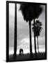 Venice Beach, Venice, Los Angeles, California, USA-Walter Bibikow-Framed Photographic Print