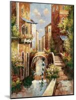 Venice Canal II-Peter Bell-Mounted Art Print