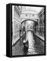 Venice Canal-Cyndi Schick-Framed Stretched Canvas