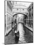 Venice Canal-Cyndi Schick-Mounted Art Print