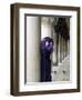 Venice Carnival, Venice, Italy-Peter Adams-Framed Photographic Print