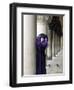 Venice Carnival, Venice, Italy-Peter Adams-Framed Photographic Print