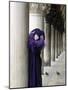 Venice Carnival, Venice, Italy-Peter Adams-Mounted Photographic Print