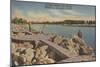 Venice, Florida - Fishing Scene on the Jetties-Lantern Press-Mounted Art Print