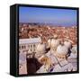 Venice from Above-PaulCowan-Framed Stretched Canvas