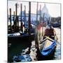 Venice Gondola-Tosh-Mounted Art Print