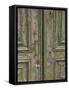 Venice Green Door-George Johnson-Framed Stretched Canvas