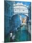 Venice II-Alex Hook Krioutchkov-Mounted Premium Giclee Print