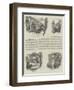 Venice in London, Sketches in Olympia-null-Framed Giclee Print