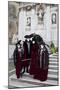 Venice, Italy. Mask and Costumes at Carnival Gathering-Darrell Gulin-Mounted Photographic Print