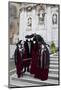 Venice, Italy. Mask and Costumes at Carnival Gathering-Darrell Gulin-Mounted Photographic Print