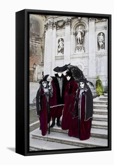 Venice, Italy. Mask and Costumes at Carnival Gathering-Darrell Gulin-Framed Stretched Canvas