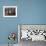 Venice, Italy. Mask and Costumes at Carnival on Balcony-Darrell Gulin-Framed Photographic Print displayed on a wall