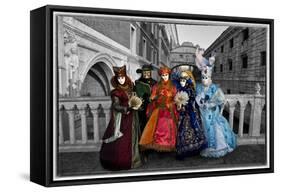 Venice, Italy. Mask and Costumes at Carnival-Darrell Gulin-Framed Stretched Canvas