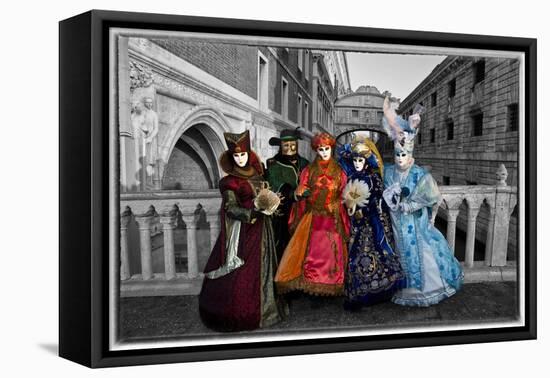 Venice, Italy. Mask and Costumes at Carnival-Darrell Gulin-Framed Stretched Canvas