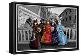 Venice, Italy. Mask and Costumes at Carnival-Darrell Gulin-Framed Stretched Canvas