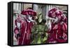 Venice, Italy. Mask and Costumes at Carnival-Darrell Gulin-Framed Stretched Canvas