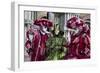 Venice, Italy. Mask and Costumes at Carnival-Darrell Gulin-Framed Photographic Print