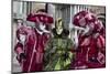 Venice, Italy. Mask and Costumes at Carnival-Darrell Gulin-Mounted Photographic Print