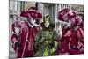 Venice, Italy. Mask and Costumes at Carnival-Darrell Gulin-Mounted Photographic Print